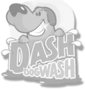 Dash Dog Wash